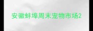安徽蚌埠周末宠物市场