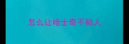 怎么让哈士奇不粘人