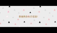 泰迪狗多久打疫苗