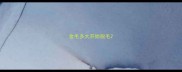 金毛多大开始脱毛