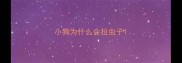 小狗为什么会拉虫子