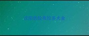 沈阳的拉布拉多犬舍