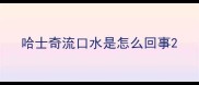哈士奇流口水是怎么回事