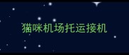 猫咪机场托运接机