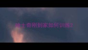 哈士奇刚到家如何训练