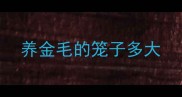 养金毛的笼子多大