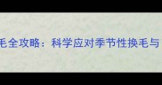 边境牧羊犬掉毛全攻略科学应对季节性换毛与日常护理技巧