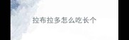 拉布拉多怎么吃长个