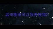 温州哪里可以领养宠物