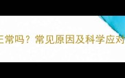 灰色泰迪犬毛发变白正常吗常见原因及科学应对指南附养护方案