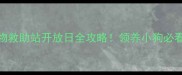 免费领养指南厦门流浪动物救助站开放日全攻略领养小狗必看避坑指南附真实案例