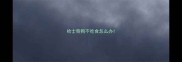 哈士奇狗不吃食怎么办