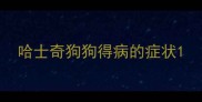 哈士奇狗狗得病的症状