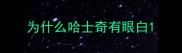 为什么哈士奇有眼白