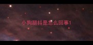 小狗腿抖是怎么回事