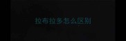 拉布拉多怎么区别