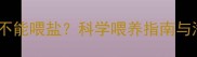 拉布拉多幼犬能不能喂盐科学喂养指南与潜在健康隐患全