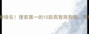 最聪明犬种排名搜索第一的10款高智商狗狗养狗必看