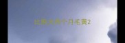 比熊犬两个月毛黄