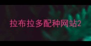 拉布拉多配种网站