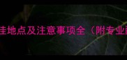 拉布拉多配种最佳地点及注意事项全附专业配种流程指南