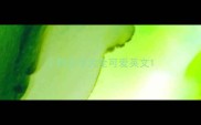 小狗名字大全可爱英文