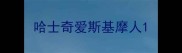 哈士奇爱斯基摩人