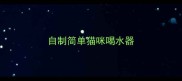 自制简单猫咪喝水器