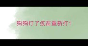 狗狗打了疫苗重新打