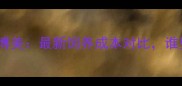 哈士奇VS博美最新饲养成本对比谁更烧钱