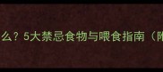 金毛肠胃炎能吃什么5大禁忌食物与喂食指南附紧急处理方案