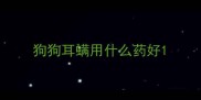 狗狗耳螨用什么药好