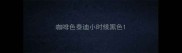 咖啡色泰迪小时候黑色