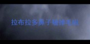 拉布拉多鼻子磕掉毛啦