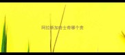 阿拉斯加哈士奇哪个贵