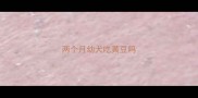 两个月幼犬吃黄豆吗