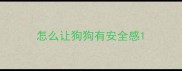 怎么让狗狗有安全感