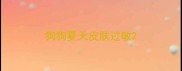 狗狗夏天皮肤过敏