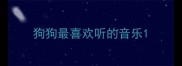 狗狗最喜欢听的音乐