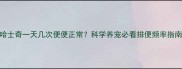 哈士奇一天几次便便正常科学养宠必看排便频率指南