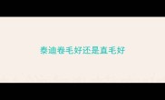 泰迪卷毛好还是直毛好