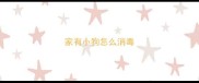家有小狗怎么消毒
