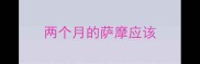 两个月的萨摩应该
