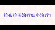 拉布拉多治疗细小治疗