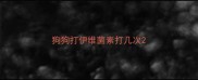 狗狗打伊维菌素打几次