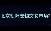 北京朝阳宠物交易市场