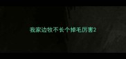 我家边牧不长个掉毛厉害