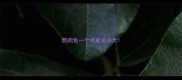 鹦鹉鱼一个月能长多大