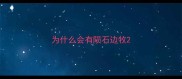 为什么会有陨石边牧