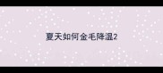 夏天如何金毛降温